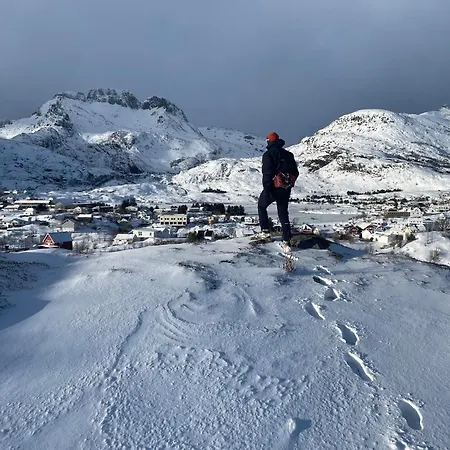 Апартаменты Lofoten Planet Сёрвоген